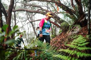 BIB: 
                            <button type="button" onclick="openModal(26299206)" class="btn btn-primary btn-sm float-right btn-popup" data-toggle="modal" data-target=".modal-high-quality">
                        <i class="fas fa-shopping-cart"></i> Add to Cart
                    </button>
                                            <button type="button" onclick="isThisMe(26299206, true)" class="btn btn-success btn-sm float-right btn-popup btn-isme hidden" data-toggle="tooltip" data-placement="bottom" title="นี่คือรูปของคุณใช่ไหม คลิกที่นี่เพื่อเอาเข้าอัลบั้ม">
                        <i class="fas fa-plus"></i> Add to album
                    </button>
                    <button type="button" onclick="isThisMe(26299206, false)" class="btn btn-warning btn-sm float-right btn-popup btn-isnotme hidden">
                        <i class="fas fa-ban"></i> Remove from album
                    </button>